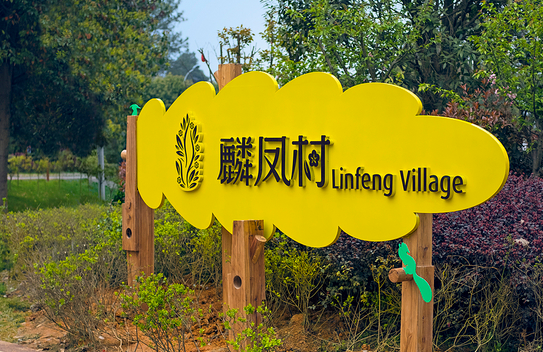 深圳品牌设计作品展示