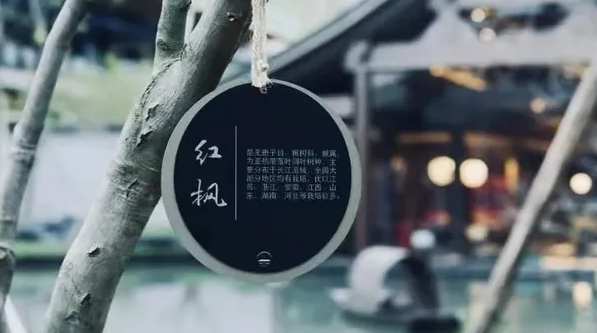 深圳品牌设计作品展示