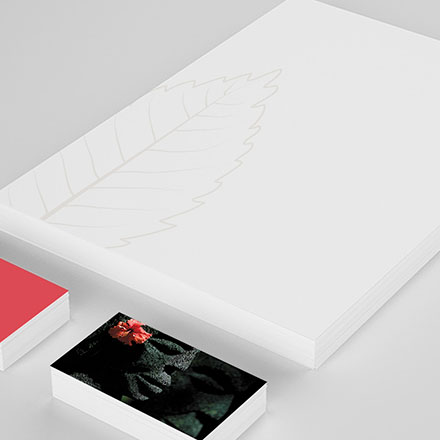 火花塞品牌安博官方网页版作品