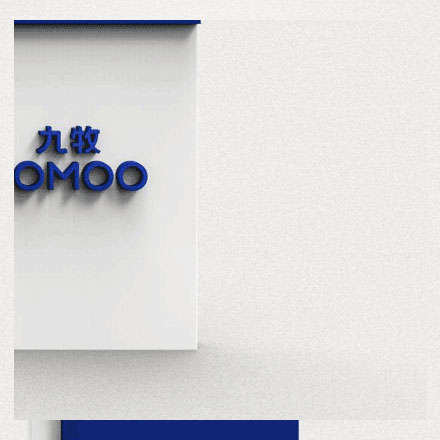 钻石项链品牌安博官方网页版作品